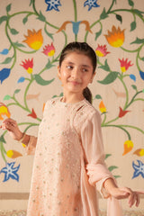 Chiffon Embroidered 3 Pc Suit - Wear Ochre