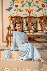 Chiffon Embroidered 3 Pc Suit - Wear Ochre