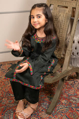 Ochre Clothing Cotton Embroidered 2 Pc Suit