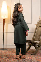 Ochre Clothing Cotton Embroidered 2 Pc Suit