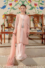 Chiffon Embroidered 3 Pc Suit - Wear Ochre
