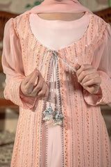 Chiffon Embroidered 3 Pc Suit - Wear Ochre