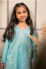 Ochre Clothing Cotton Embroidered 2 Pc Suit