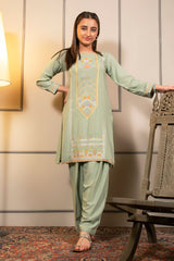 Ochre Clothing Cotton Embroidered 2 Pc Suit