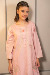 Ochre Clothing Cotton Embroidered 2 Pc Suit