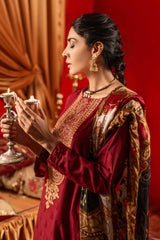 Aayra Stitched Summer Collection'2025-AY609 - Emb Maroon 3Pc