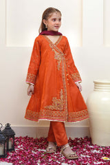 Shanzey Stitched 3 Piece Festive Angrakha Edit Collection'2024-SHK-2203