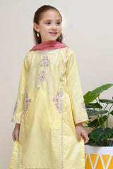 Bari Eid By Shanzey Stitched 3 Piece Emb Cotton Edit Collection'2024-SHK-2502