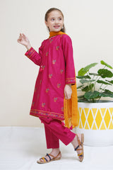 Shanzey Stitched 3 Piece Festive Emb Cotton Vol-02 Suit-SHK-2512