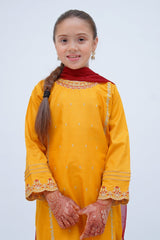 Kirnain by Shanzey Stitched 3 Piece Festive Collection-SHK-3602