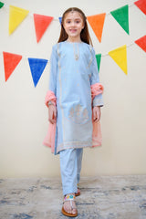 Jashn E Eid By Shanzey Stitched 3 Piece Festive Emb Cotton Collection-SHK-3616-Ice