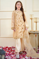 Rangon Ki Bahar By Shanzey Stitched 3 Piece Formals Suit-SHK-3904