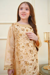 Rangon Ki Bahar By Shanzey Stitched 3 Piece Formals Suit-SHK-3904