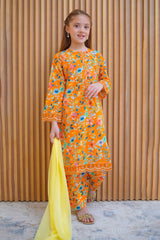 Shanzey Stitched 3 Piece Lawn Farshi Edit Suit-SHK-4421