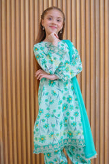 Shanzey Stitched 3 Piece Lawn Farshi Edit Suit-SHK-4422