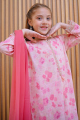 Shanzey Stitched 3 Piece Lawn Farshi Edit Suit-SHK-4423