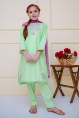 Shanzey Stitched 3 Piece Emb Cambric Edit Summer Collection'2025-SHK-4602