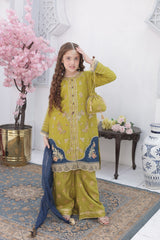 Roshni By Shanzey Stitched 3 Piece Formal Edit Suit-SHK-5805