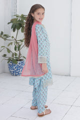 Shanzey Stitched Co Ords Emb Lawn With Chiffon Dupatta Suit-SHK-6101