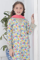 Shanzey Stitched Co Ords Emb Lawn With Chiffon Dupatta Suit-SHK-6106