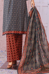 Bin Saeed Stitched 3 Piece Exclusive Printed Lawn Vol-05 Suit-SM-1923-Grey