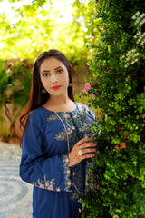Aayra Stitched 3 Piece Emb Festive Lawn Suit-DL0015SP1