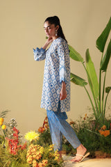 Mirha By Sahar Unstitched 2 Piece Printed Cambric-SS1-26-23