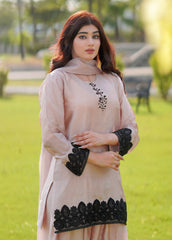 Stitch Vibes Rosee Pure Silk Farshi Shalwar
