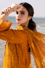 Tehzeeb By Riaz Arts Unstitched 3 Piece Emb Chikankari Lawn Vol-03 Suit-TL-425