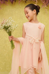 Chiffon Embroidered 3 Pc Suit - Wear Ochre