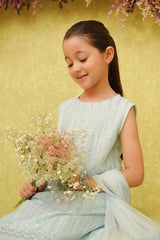 Chiffon Embroidered 3 Pc Suit - Wear Ochre