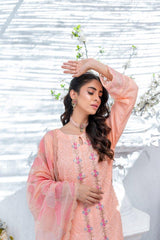 Umer Aayan Marigold