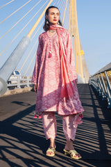 Taneez by Roheenaz Unstitched 3 Piece Block Printed Lawn Suit-RNB-07-B-Vida