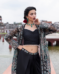 Ember Festive By Aylin Unstitched 3 Piece Formals Collection'2025-Noir
