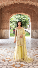 Ember Festive By Aylin Unstitched 3 Piece Formals Collection'2025-Lumena