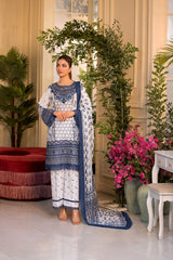 Vital by Sobia Nazir Unstitched 3 Piece Lawn Suit-V-10-B