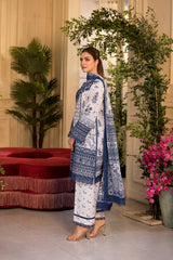 Vital by Sobia Nazir Unstitched 3 Piece Lawn Suit-V-10-B
