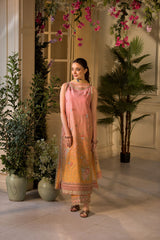 Vital by Sobia Nazir Unstitched 3 Piece Lawn Collection'2025-V-11-B