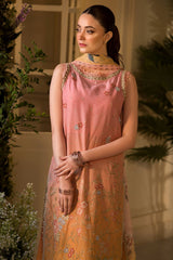 Vital by Sobia Nazir Unstitched 3 Piece Lawn Collection'2025-V-11-B