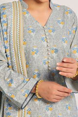 Amna Khadija Unstitched 3 Piece Wrinkle Free Prints Vol-22 Suit-WFP-1134-C