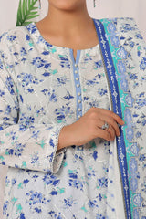 Amna Khadija Unstitched 3 Piece Wrinkle Free Prints Vol-22 Suit-WFP-1137-B