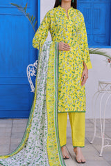 Amna Khadija Unstitched 3 Piece Wrinkle Free Prints Vol-26 Suit-WFP-1153-C
