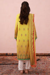 Zellbury Stitched 2 Piece Summer Lawn Collection'2025-WPS-2058