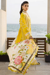 Zellbury Unstitched 3 Piece Chikankari Cotton Vol-04 Suit-WUC-0073