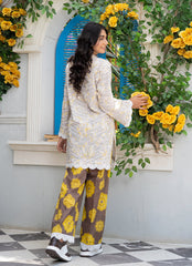 Women Dress