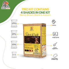 Organic Roots Natural Hair Color Kit | Trio Kit  | For Blonde -Light Brown