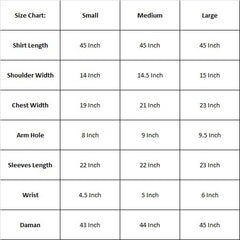 Aayra Stitched Summer Collection'2025-AY361 - Purple Dot Shirt