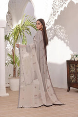 Dressline 3 Piece Stitched Fancy Emb Chikankari Lawn Fancy Dupatta Collection