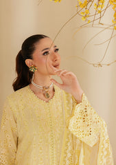 Aik Atelier Unstitched 3 Piece Lawn Summer Suit-B2604A