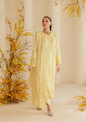 Aik Atelier Unstitched 3 Piece Lawn Summer Suit-B2604A